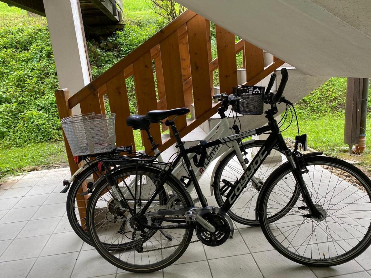 Geschmackvolles Appartement Am Donauradweg オーベルンツェル エクステリア 写真