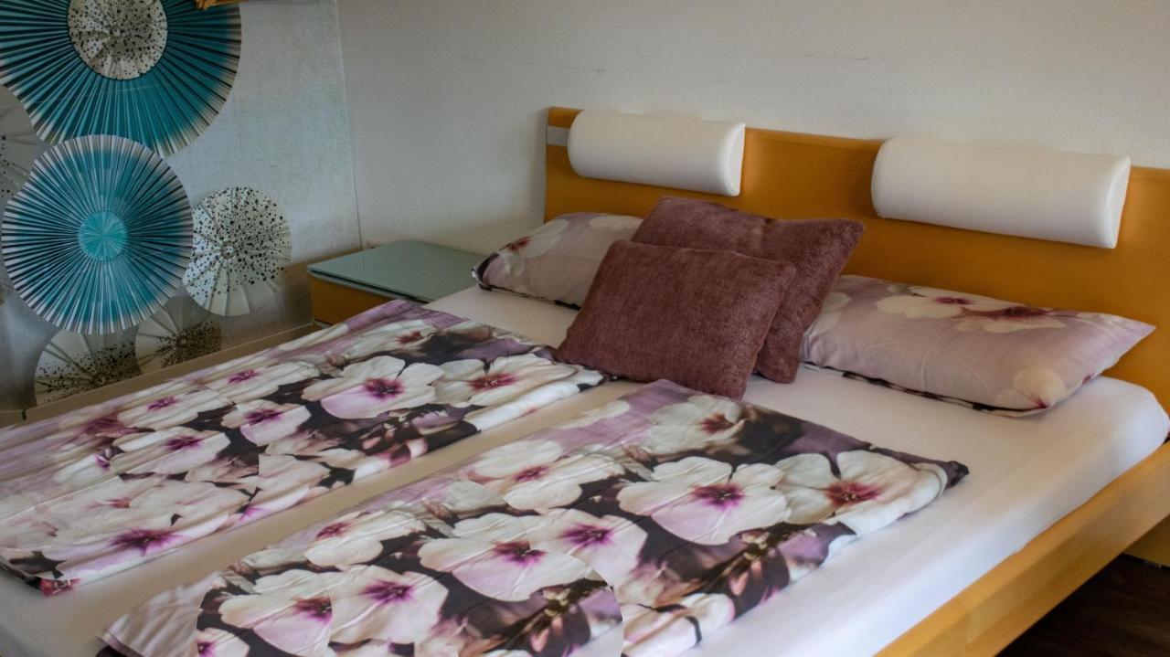 Geschmackvolles Appartement Am Donauradweg オーベルンツェル エクステリア 写真